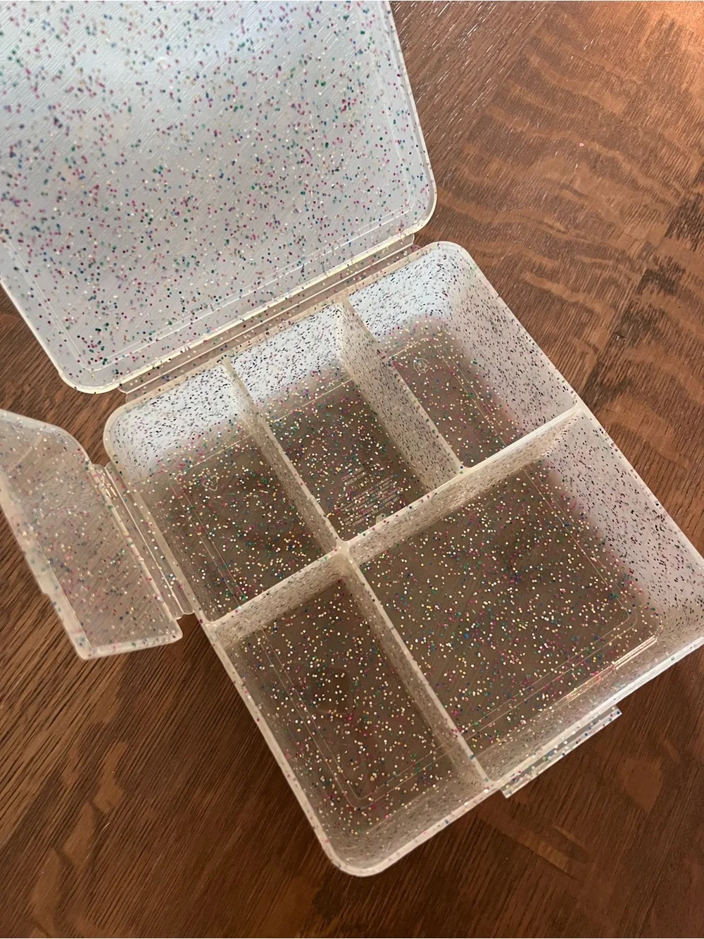 Pottery Barn Kids Confetti Glitter Divided Lunch Box Bento Container with Lid
